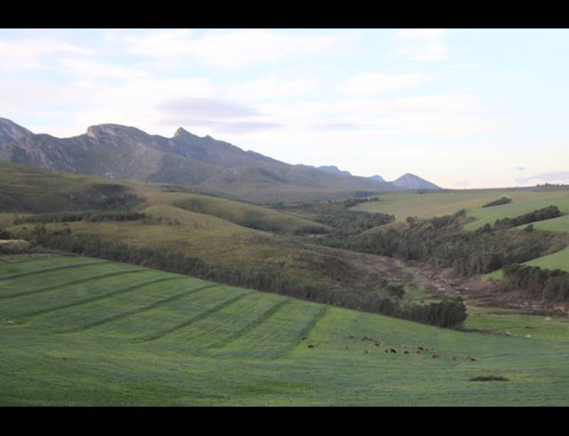 814HA FARM FOR SALE IN RIVERSDALE RURAL